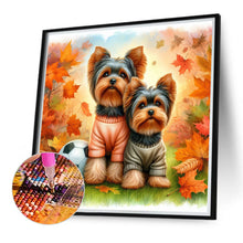 Load image into Gallery viewer, Yorkshire Terrier Dog In Autumn 40*40CM (canvas) Full Round Drill Diamond Painting
