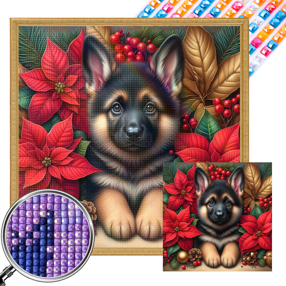 Christmas Poinsettia Dog 40*40CM (canvas) Full AB Square Drill Diamond Painting