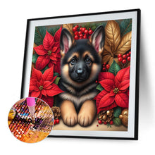 Load image into Gallery viewer, Christmas Poinsettia Dog 40*40CM (canvas) Full AB Square Drill Diamond Painting
