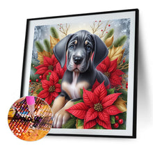 Load image into Gallery viewer, Christmas Poinsettia Dog 40*40CM (canvas) Full AB Square Drill Diamond Painting
