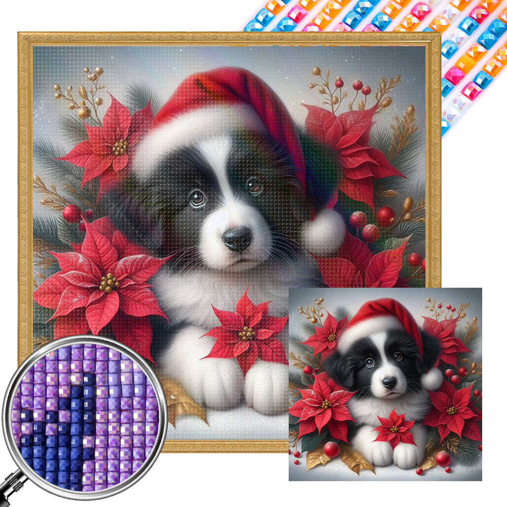 Christmas Poinsettia Dog 40*40CM (canvas) Full AB Square Drill Diamond Painting