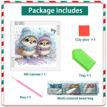 Load image into Gallery viewer, Cute Christmas Bird 30*30CM (canvas) Partial Special-Shaped Drill Diamond Painting
