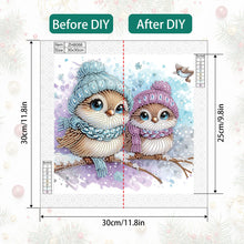 Load image into Gallery viewer, Cute Christmas Bird 30*30CM (canvas) Partial Special-Shaped Drill Diamond Painting
