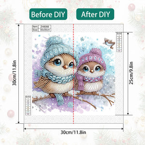 Cute Christmas Bird 30*30CM (canvas) Partial Special-Shaped Drill Diamond Painting