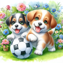 Load image into Gallery viewer, Two Dogs Playing Football In The Grass 30*30CM (canvas) Full Round Drill Diamond Painting
