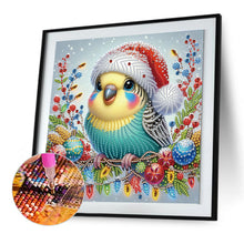 Load image into Gallery viewer, Christmas Bird 30*30CM (canvas) Partial Special-Shaped Drill Diamond Painting
