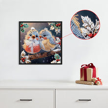 Load image into Gallery viewer, Christmas Bird 30*30CM (canvas) Partial Special-Shaped Drill Diamond Painting
