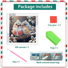 Load image into Gallery viewer, Christmas Bird 30*30CM (canvas) Partial Special-Shaped Drill Diamond Painting
