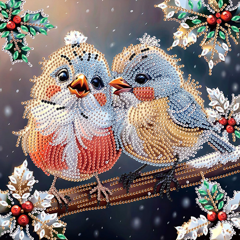 Christmas Bird 30*30CM (canvas) Partial Special-Shaped Drill Diamond Painting