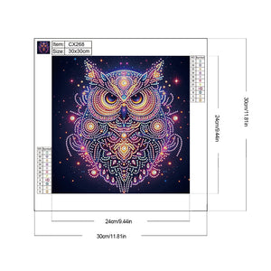 Starlight Animal Owl 30*30CM (canvas) Partial Special-Shaped Drill Diamond Painting