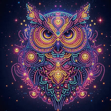 Load image into Gallery viewer, Starlight Animal Owl 30*30CM (canvas) Partial Special-Shaped Drill Diamond Painting
