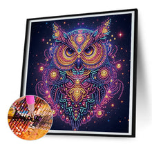 Load image into Gallery viewer, Starlight Animal Owl 30*30CM (canvas) Partial Special-Shaped Drill Diamond Painting
