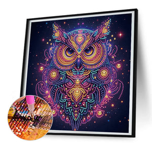 Starlight Animal Owl 30*30CM (canvas) Partial Special-Shaped Drill Diamond Painting