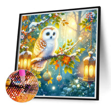 Load image into Gallery viewer, Winter Owl 30*30CM (canvas) Full Round Drill Diamond Painting
