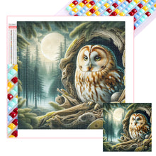 Load image into Gallery viewer, Owl 40*40CM (canvas) Full Square Drill Diamond Painting
