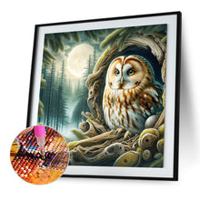 Load image into Gallery viewer, Owl 40*40CM (canvas) Full Square Drill Diamond Painting
