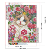 Load image into Gallery viewer, Rose Ragdoll Cat 30*40CM (canvas) Full Round Drill Diamond Painting
