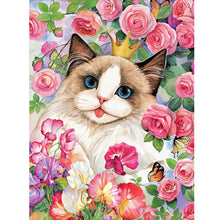 Load image into Gallery viewer, Rose Ragdoll Cat 30*40CM (canvas) Full Round Drill Diamond Painting
