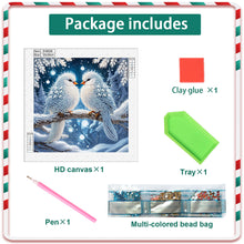 Load image into Gallery viewer, Winter Snow Scene Bird 30*30CM (canvas) Partial Special-Shaped Drill Diamond Painting
