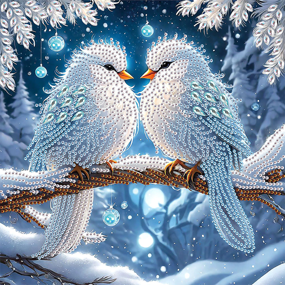 Winter Snow Scene Bird 30*30CM (canvas) Partial Special-Shaped Drill Diamond Painting