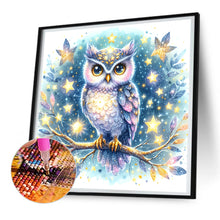 Load image into Gallery viewer, Owl 30*30CM (canvas) Full Round Drill Diamond Painting
