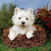 Load image into Gallery viewer, West Highland White Terrier 40*40CM (canvas) Full Round Drill Diamond Painting
