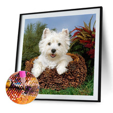 Load image into Gallery viewer, West Highland White Terrier 40*40CM (canvas) Full Round Drill Diamond Painting
