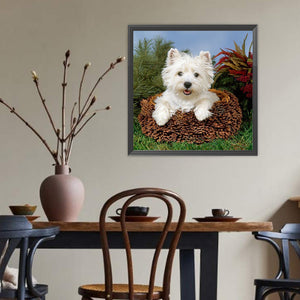 West Highland White Terrier 40*40CM (canvas) Full Round Drill Diamond Painting