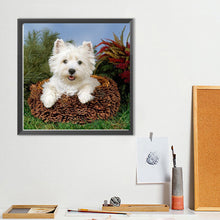 Load image into Gallery viewer, West Highland White Terrier 40*40CM (canvas) Full Round Drill Diamond Painting
