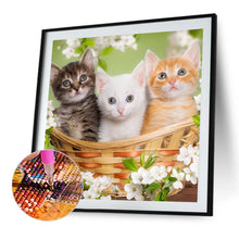 Load image into Gallery viewer, Three Cats 40*40CM (canvas) Full Round Drill Diamond Painting
