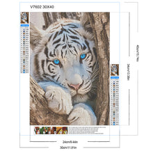 Load image into Gallery viewer, White Tiger 30*40CM (canvas) Full Round Drill Diamond Painting
