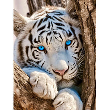 Load image into Gallery viewer, White Tiger 30*40CM (canvas) Full Round Drill Diamond Painting
