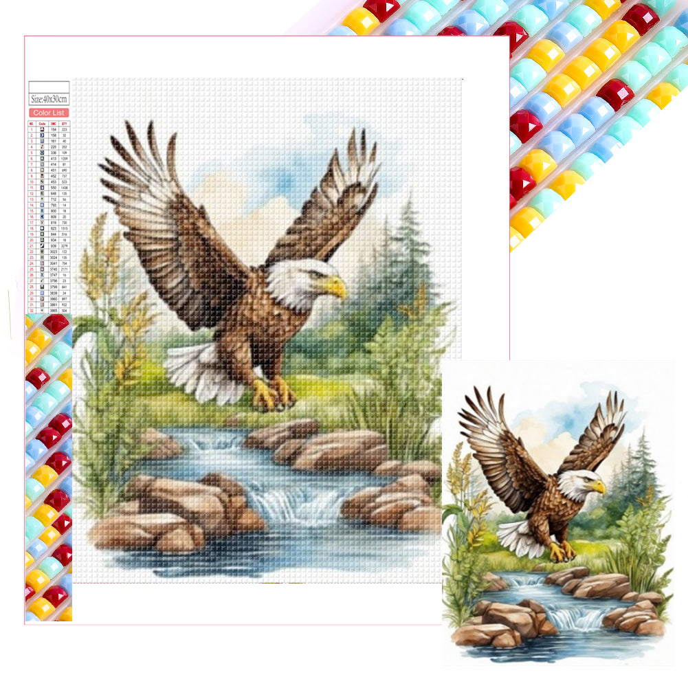 Eagle 30*40CM (canvas) Full Square Drill Diamond Painting