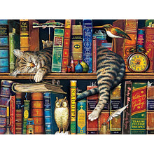 Load image into Gallery viewer, Cat On The Bookshelf 40*30CM (canvas) Full Round Drill Diamond Painting
