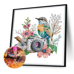 Camera 30*30CM (canvas) Partial Special-Shaped Drill Diamond Painting