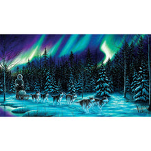 Load image into Gallery viewer, Sledding Under The Aurora 30*55CM (canvas) Full Round AB Drill Diamond Painting
