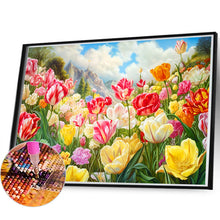 Load image into Gallery viewer, Blooming Tulip Field 60*40CM (canvas) Full Round Drill Diamond Painting
