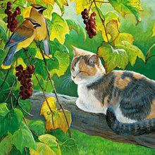 Load image into Gallery viewer, Tree Kitten 35*35CM (canvas) Full Round Drill Diamond Painting
