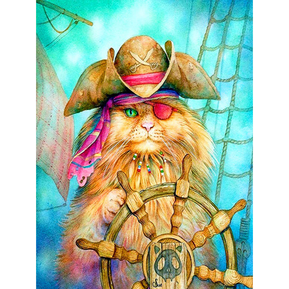 Pirate ¡¤ Helm Cat 30*40CM (canvas) Full Round Drill Diamond Painting