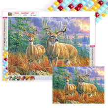 Load image into Gallery viewer, Elk 40*30CM (canvas) Full Square Drill Diamond Painting
