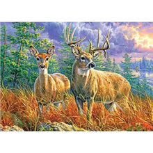 Load image into Gallery viewer, Elk 40*30CM (canvas) Full Square Drill Diamond Painting
