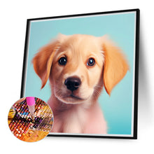 Load image into Gallery viewer, Pet Puppy 40*40CM (canvas) Full Round Drill Diamond Painting
