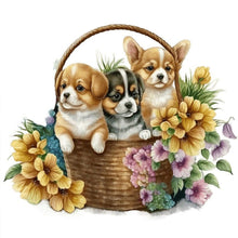 Load image into Gallery viewer, Flower Basket Cat 40*40CM (canvas) Full Round Drill Diamond Painting
