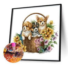 Load image into Gallery viewer, Flower Basket Cat 40*40CM (canvas) Full Round Drill Diamond Painting
