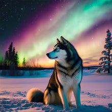 Load image into Gallery viewer, Aurora Snowwolf 40*40CM (canvas) Full Round Drill Diamond Painting
