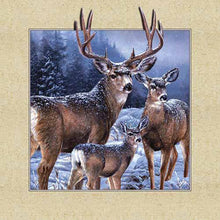 Load image into Gallery viewer, Picture Frame Elk 40*40CM (canvas) Full Round Drill Diamond Painting
