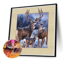 Load image into Gallery viewer, Picture Frame Elk 40*40CM (canvas) Full Round Drill Diamond Painting
