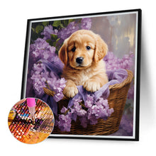 Load image into Gallery viewer, Golden Retriever 40*40CM (canvas) Full Round Drill Diamond Painting
