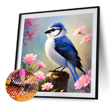 Load image into Gallery viewer, Bluebird 40X40CM (canvas) Full Square Drill Diamond Painting
