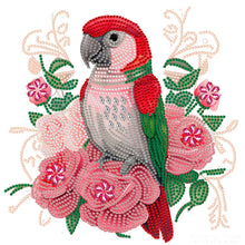 Load image into Gallery viewer, Parrot And Owl 30*30CM (canvas) Partial Special-Shaped Drill Diamond Painting
